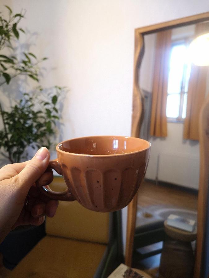 Codicei Studio 布拉索夫 外观 照片
